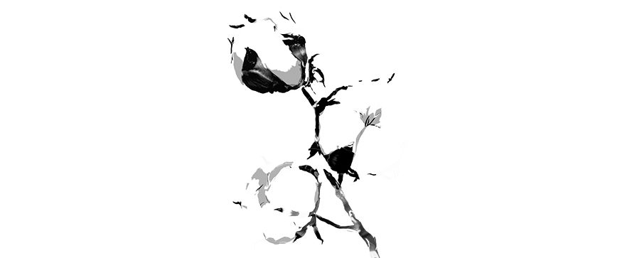 N3_feuille_de_route_N4_care_desktop_882x363px.jpg